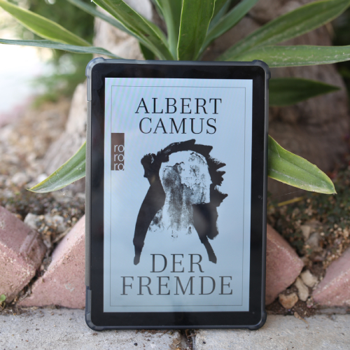 Der Fremde, Albert Camus - Rezension